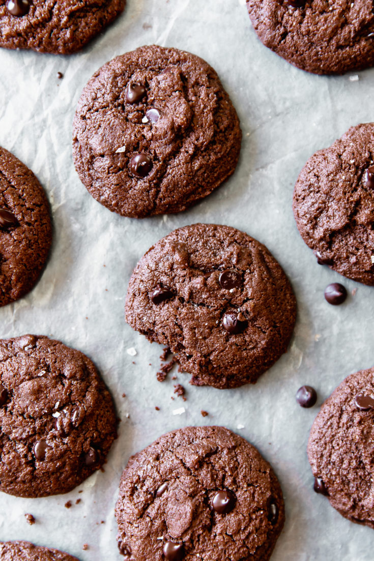 Double Chocolate Chip Cookies - Delight Fuel