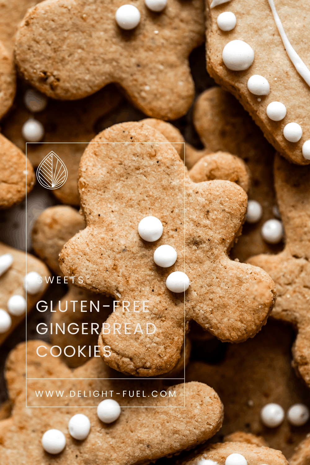 Gluten-free Gingerbread Cookies - Delight Fuel