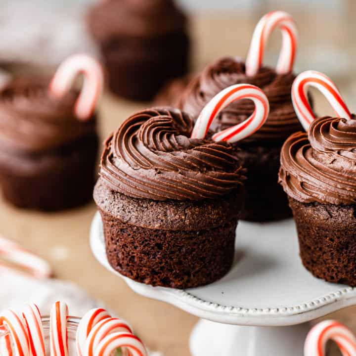 Peppermint Chocolate Cupcakes